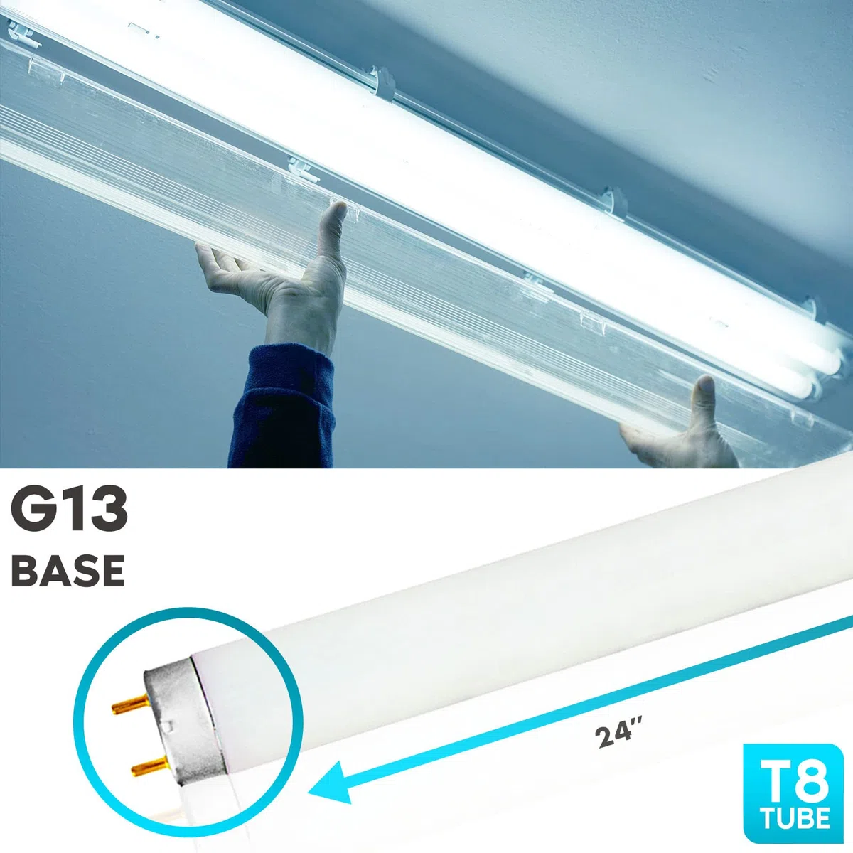 LUXRITE f17t8/765 17 W 61 cm T8 Leuchtstoffröhre Glühbirne, 6500 K Tageslicht Weiß, 1350 Lumen, G13 Medium-Stiftsockellampe, lr20755, 6500K (Daylight White) 17.00 wattsW 120.00 voltsV