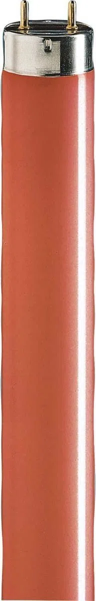 Philips Lampen Leuchtstofflampe TL-D 18W/15 EAN: 8711500726841