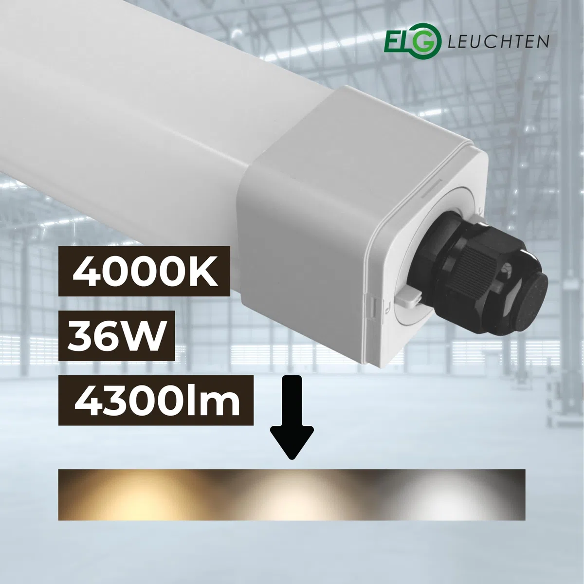 LED Feuchtraumleuchte 120cm 4000K 36W 4300lm IP66 6er Set